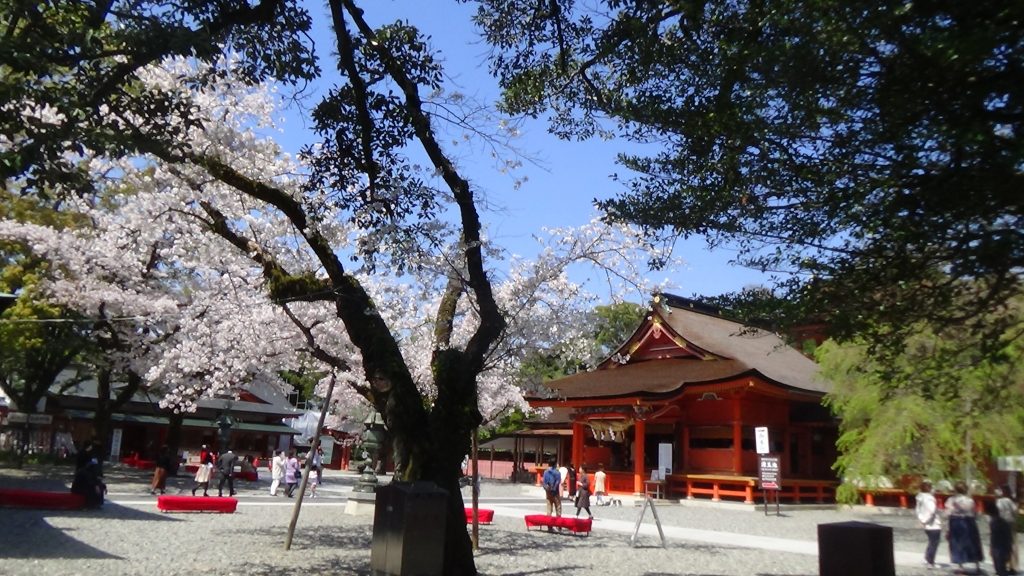 桜の撮影会2020の様子を動画にしてみました