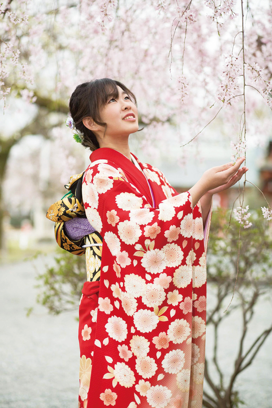 超目玉枠 振袖 豪華な桜の花柄 牡丹 金銀彩 御所車 御所車 金銀彩 豪華